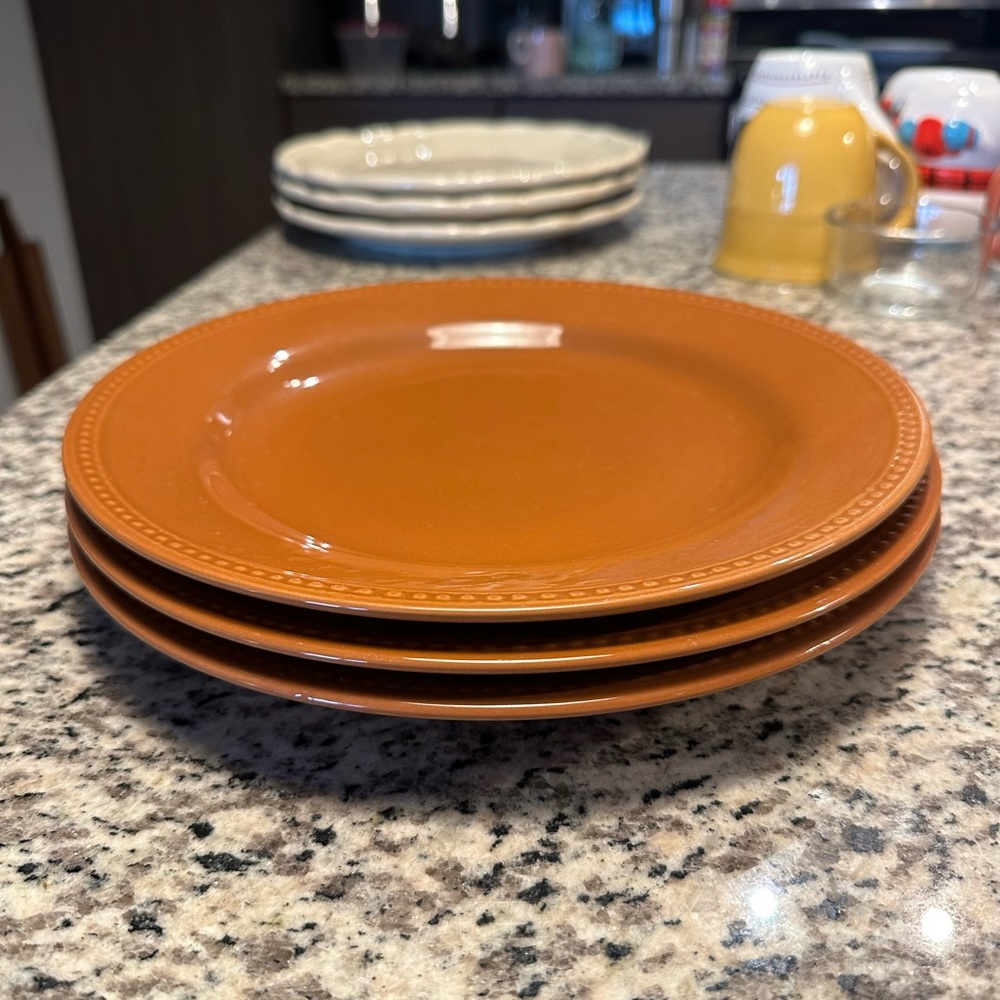 Dinner Plates (Pier1 Imports)